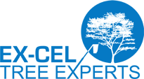 Excel Tree - Maryland Tree Removal Service